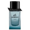Burberry Mr Burberry Element