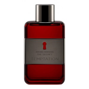 Antonio Banderas The Secret Temptation men