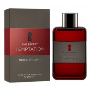 Antonio Banderas The Secret Temptation men
