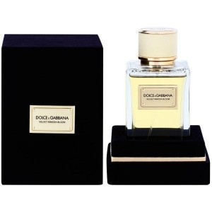 Dolce & Gabbana Velvet Mimosa Bloom