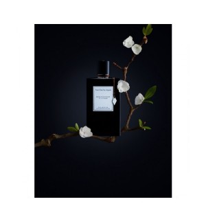 Van Cleef & Arpels Bois d'Amande